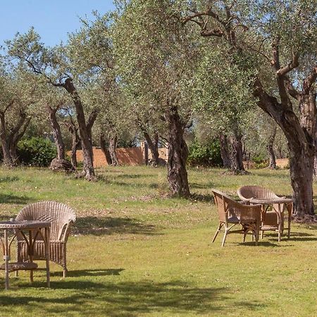 Welcomely - Country Guesthouse Olivar Alguer Exterior foto