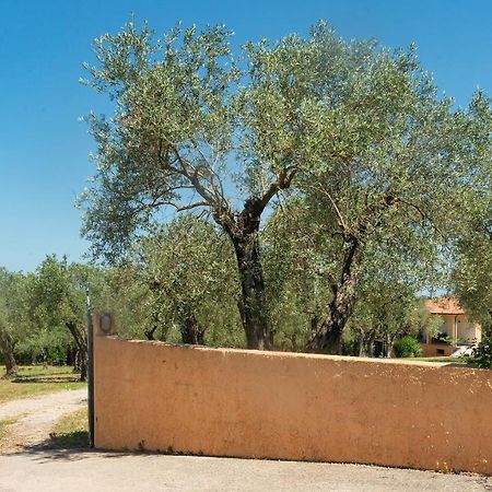 Welcomely - Country Guesthouse Olivar Alguer Exterior foto