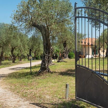 Welcomely - Country Guesthouse Olivar Alguer Exterior foto
