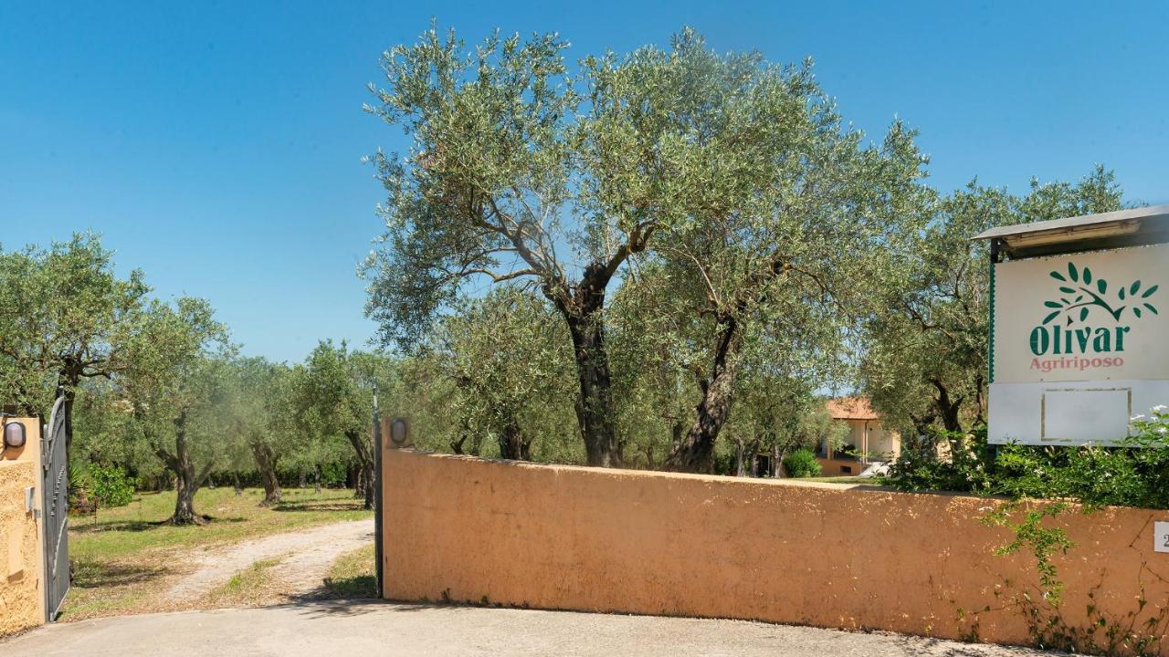 Welcomely - Country Guesthouse Olivar Alguer Exterior foto