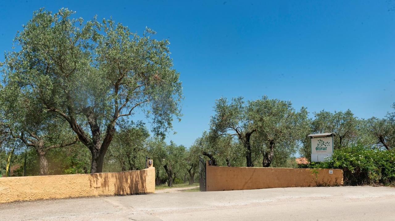 Welcomely - Country Guesthouse Olivar Alguer Exterior foto