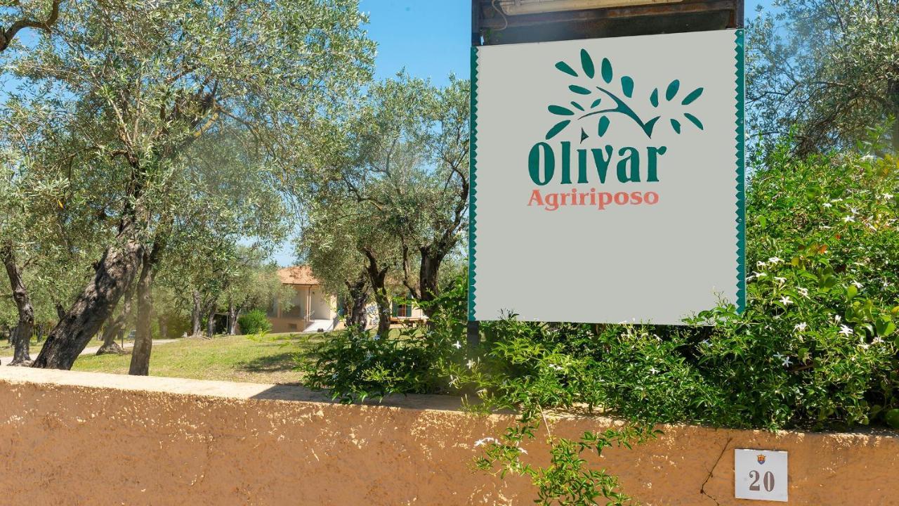 Welcomely - Country Guesthouse Olivar Alguer Exterior foto