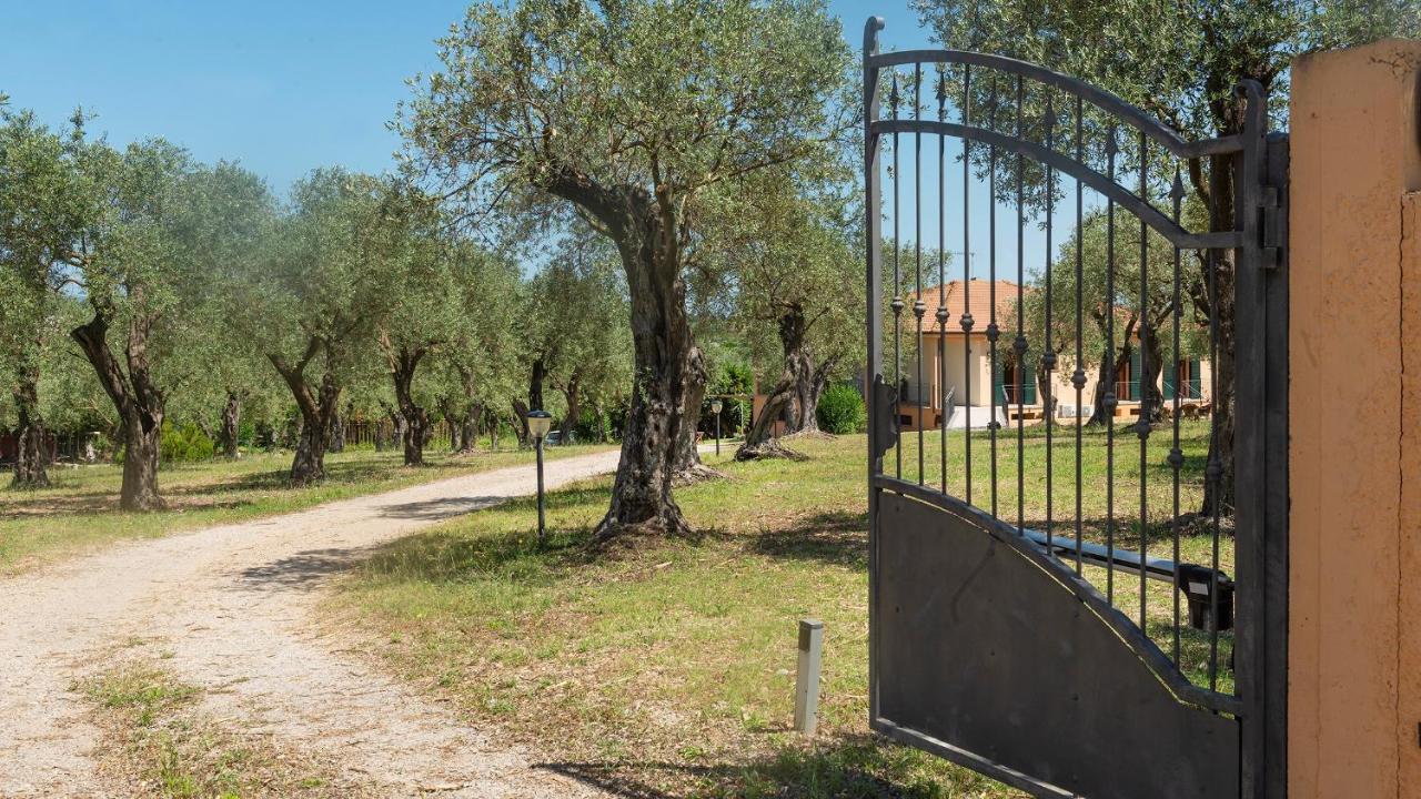 Welcomely - Country Guesthouse Olivar Alguer Exterior foto