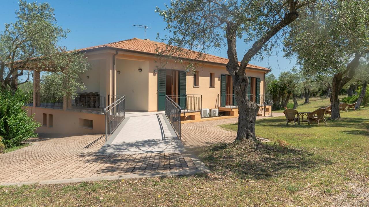 Welcomely - Country Guesthouse Olivar Alguer Exterior foto
